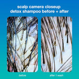 Detox + Repair Leave-In Molecular Repair Mask & Mini Detox Shampoo Gift Set