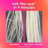 Repair + Protect Minis Kit