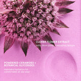 Cloud Paint Plush Blush