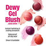 Juice Stick Dewy Gel-Cream Blush