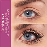 Dynamite Lashes & Brows Holiday Gift Set