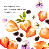 Sparkling Bliss Limited Edition Body & Hand Mist Essentials Set