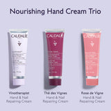 Hydrating & Nourishing Hand Cream Trio