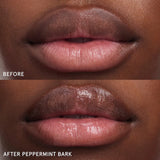 Sugar + Spice Balm Dotcom Lip Balm Duo Makeup Gift Set