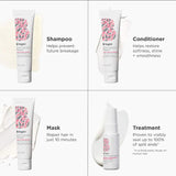 Don't Despair, Repair! Strengthening + Hydrating Minis Kit for Dry, Damaged Hair