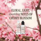 Festive Crackers Gift Set