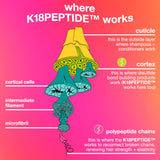 Healthy Volume Minis Hair Gift Set