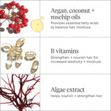 Don't Despair, Repair! Strengthening + Hydrating Minis Kit for Dry, Damaged Hair