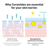 Mega Moisture Moment Kit: Ceramidin Skin Barrier Holiday Gift Set