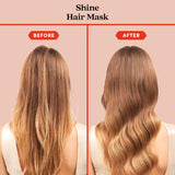 Where Hair Roars – Strength & Volume Gift Set