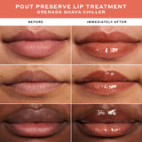 Passport to Chill Mini Pout Preserve Peptide Lip Set