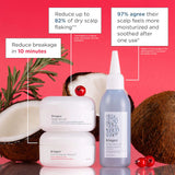 Healthy Hair Delights Gift Set for Scalp-to-Strand Care