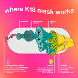 Repair + Protect Minis Kit