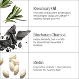 Scalp Revival™ Moisture + Detox + Refresh Minis Kit for Dry, Flaky Scalp