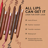 Berry Brown'd Pout Lip Liner + Gloss Stick Duo