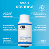 DAMAGE SHIELD pH Protective Shampoo & Conditioner Duo Gift Set