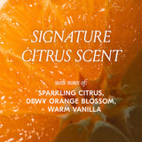 Slick Citrus Twist Hair + Body Kit