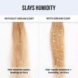 Dream Coat Iconic Frizz Fighters Hair Duo Gift Set