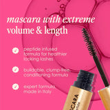 Mini Cult Faves Lash and Brow Serum Set