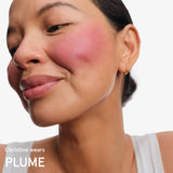 Cloud Paint Plush Blush