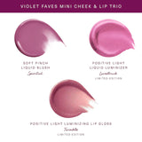 Violet Faves Mini Cheek and Lip Trio Makeup Gift Set