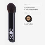 Brush Essentials Gift Set