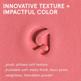 Cloud Paint Plush Blush