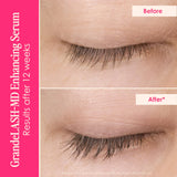Dynamite Lashes & Brows Holiday Gift Set
