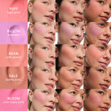 Cloud Paint Plush Blush