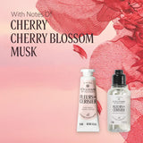 Festive Crackers - Travel Size Cleanse & Moisturize Gift Set