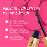 Lash & Brow Luxuries - Serum and Mascara Set