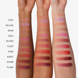 Cloud Paint Plush Blush